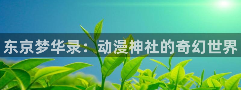 omofun动漫官网在线观看：东京梦华录：动漫神社的奇幻世界